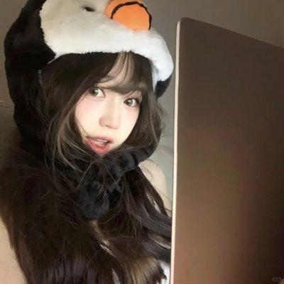 乌鼠机密档案
